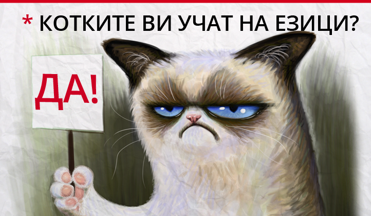 Могат ли котките да помогнат, в изучаването на чужди езици?